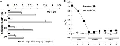 An Arctic Paradox: Response of Fluvial Hg Inputs and Bioavailability to Global Climate Change in an Extreme Coastal Environment